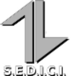 S.E.D.I.C.I. – Informatica